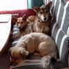 Lucia, Seniorin sucht Altersresidenz