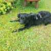 Die süße Amber ❤sucht ihre Familie