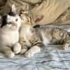 Teddy und Mousy aus dem Tierschutz