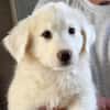 Chiara sucht eigene Familie