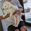 Chiara sucht eigene Familie