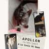 Apollon