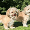 Cleo and Darcy