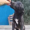 Beni, Zartes Sensibelchen, 5M 81679