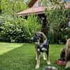 Sunny, menschenbezogen, sehr sozial
