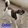 Odin vor einem Einkaufszentrum geparkt