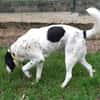 Bouba