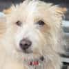Turpi1 sucht ein Zuhause