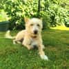 Turpi1 sucht ein Zuhause