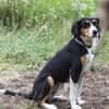 Jette - bezaubernde Mama sucht Familie