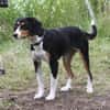 Jette - bezaubernde Mama sucht Familie