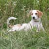 Sunny - gute Laune auf Familiensuche