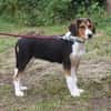 Mia - Körbchen zum Träumen gesucht