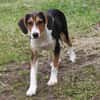 Mia - Körbchen zum Träumen gesucht