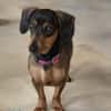 Malna sucht neues Zuhause