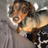 Malna sucht neues Zuhause