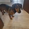 Malna sucht neues Zuhause