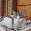 BLANDINE