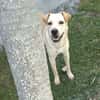 BUDY le magnifique