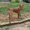 Süsse kleine Bandita sucht ein Zuhause
