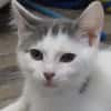 SMOKEY (RESERVE)