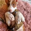 RAYO (Martina)