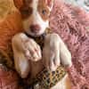 RAYO (Martina)