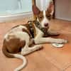 RAYO (Martina)