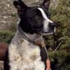 HUDSON (Maria)