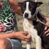 HUDSON (Maria)