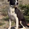 HUDSON (Maria)