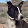 HUDSON (Maria)