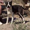 HUDSON (Maria)