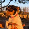 LUPE (Martina)