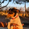 LUPE (Martina)