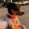 LUPE (Martina)