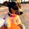 LUPE (Martina)