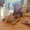 HANK (Martina)