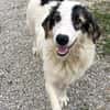 Wunderbare Shine sucht ihre Familie