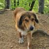 Cliff sucht -seinen Partner-