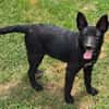 FREYA 2 sucht Familie