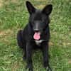 FREYA 2 sucht Familie