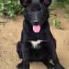 FREYA 2 sucht Familie