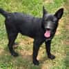 FREYA 2 sucht Familie