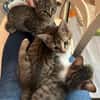Daisy sucht ein liebevolles Zuhause