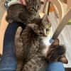 Darcy sucht ein liebevolles Zuhause