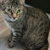 Dori sucht ein liebevolles Zuhause