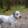 Aljoscha: beeindruckend charismatisch DE