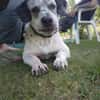Aljoscha: beeindruckend charismatisch DE