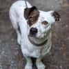 Klein♥Abbie♥Schmusemaus 63820 Elsenfeld